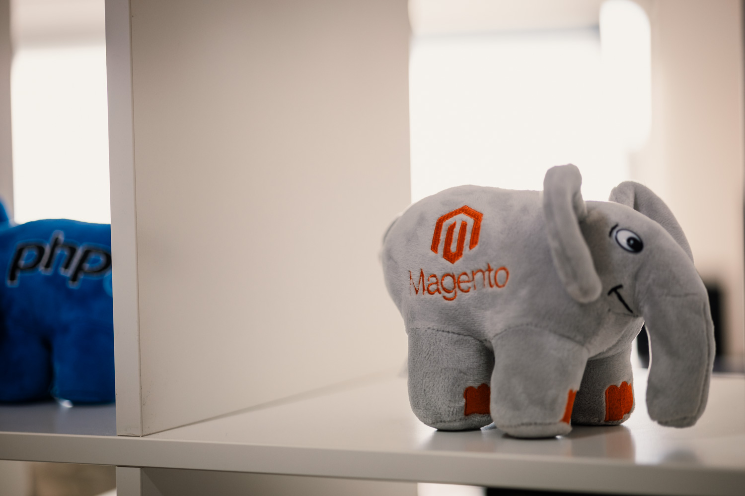 Magento mascotte op kantoor